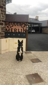 Residence Merlin Appart Des Druides Saint-Malon-sur-Mel Екстер'єр фото